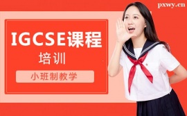 IGCSEnӖ