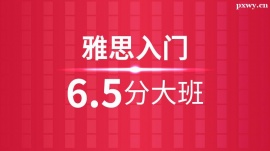 ˼T6.5Ӗ
