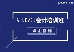 A-LevelӋӖ