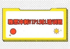 ˼_VIP11Ӗ